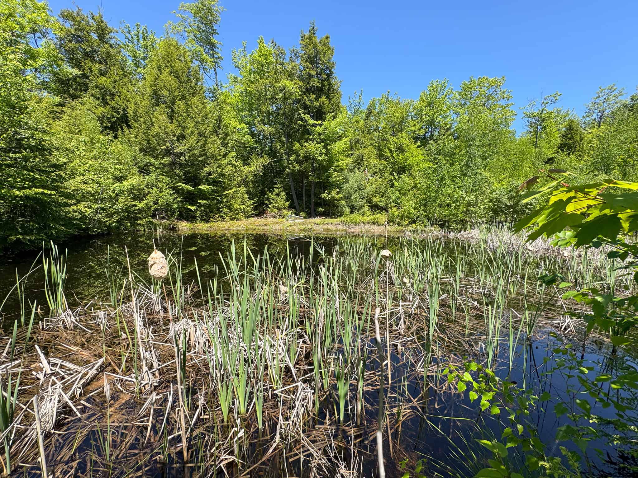 Unique Eco Friendly Home on 18.7 Acres – Waterford, Maine