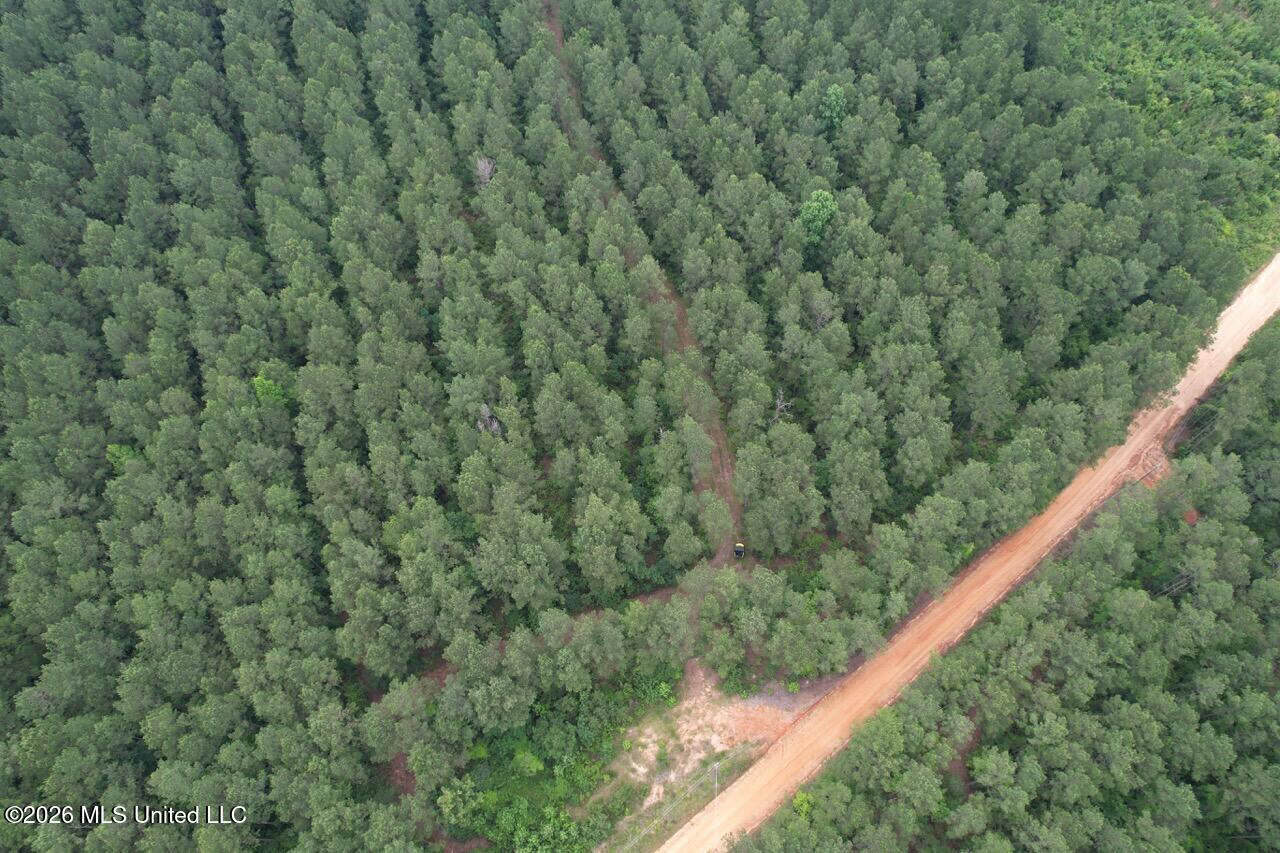 120± Acres for Sale in Osyka, MS on Tickfaw River