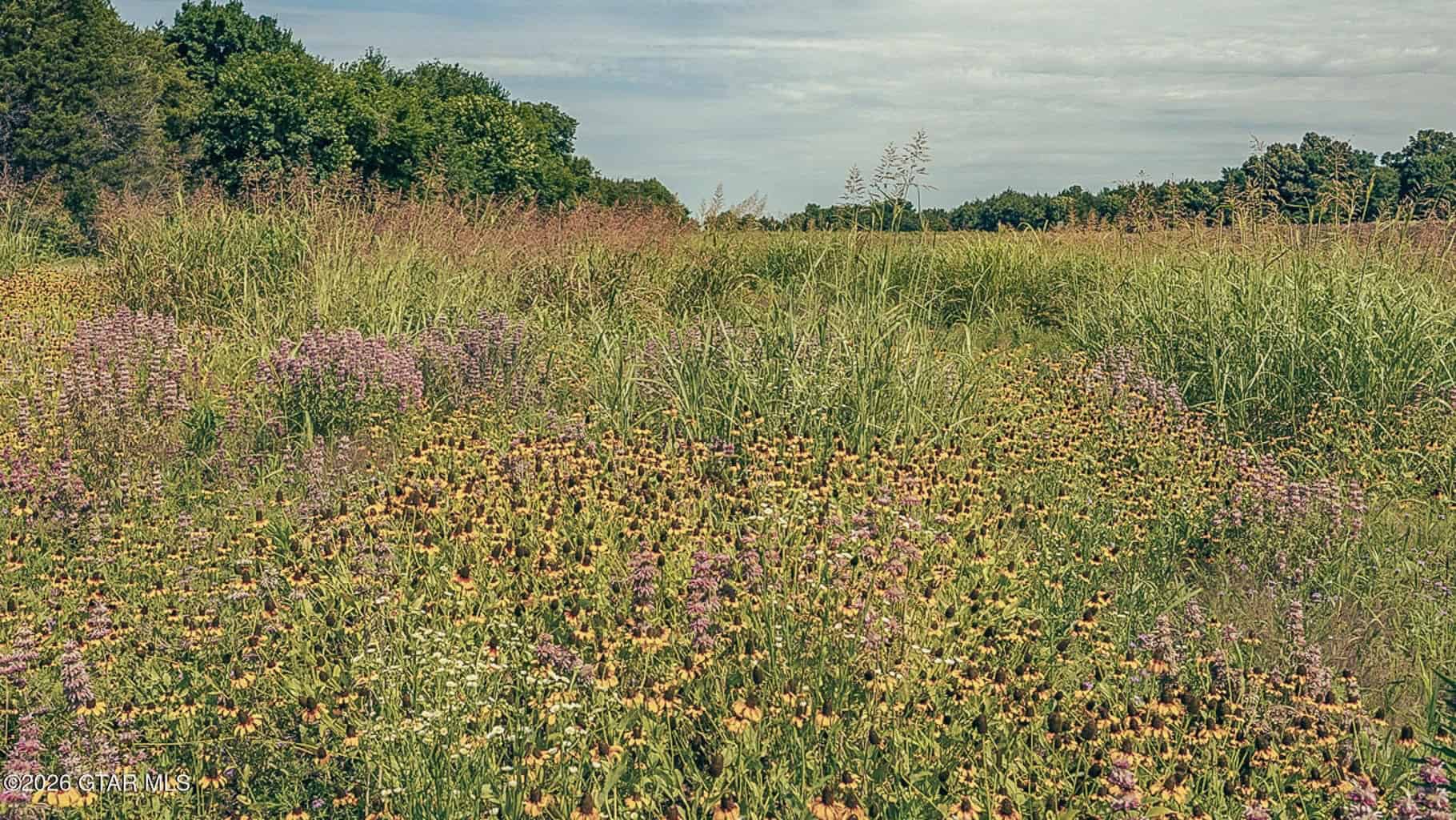 527 Acres Black Belt Prairie Clay County MS