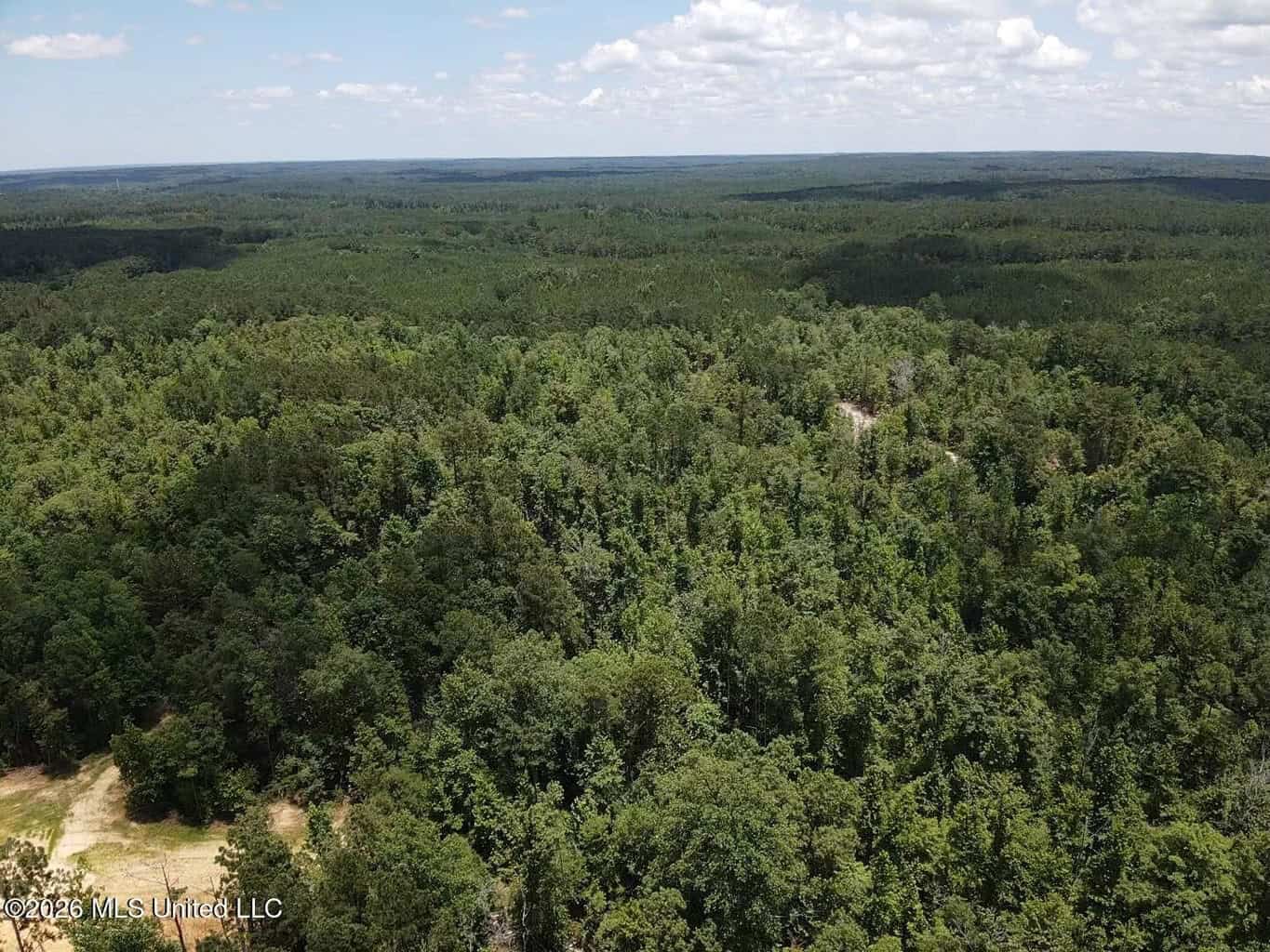 Wilkinson County MS Hunting Land for Sale
