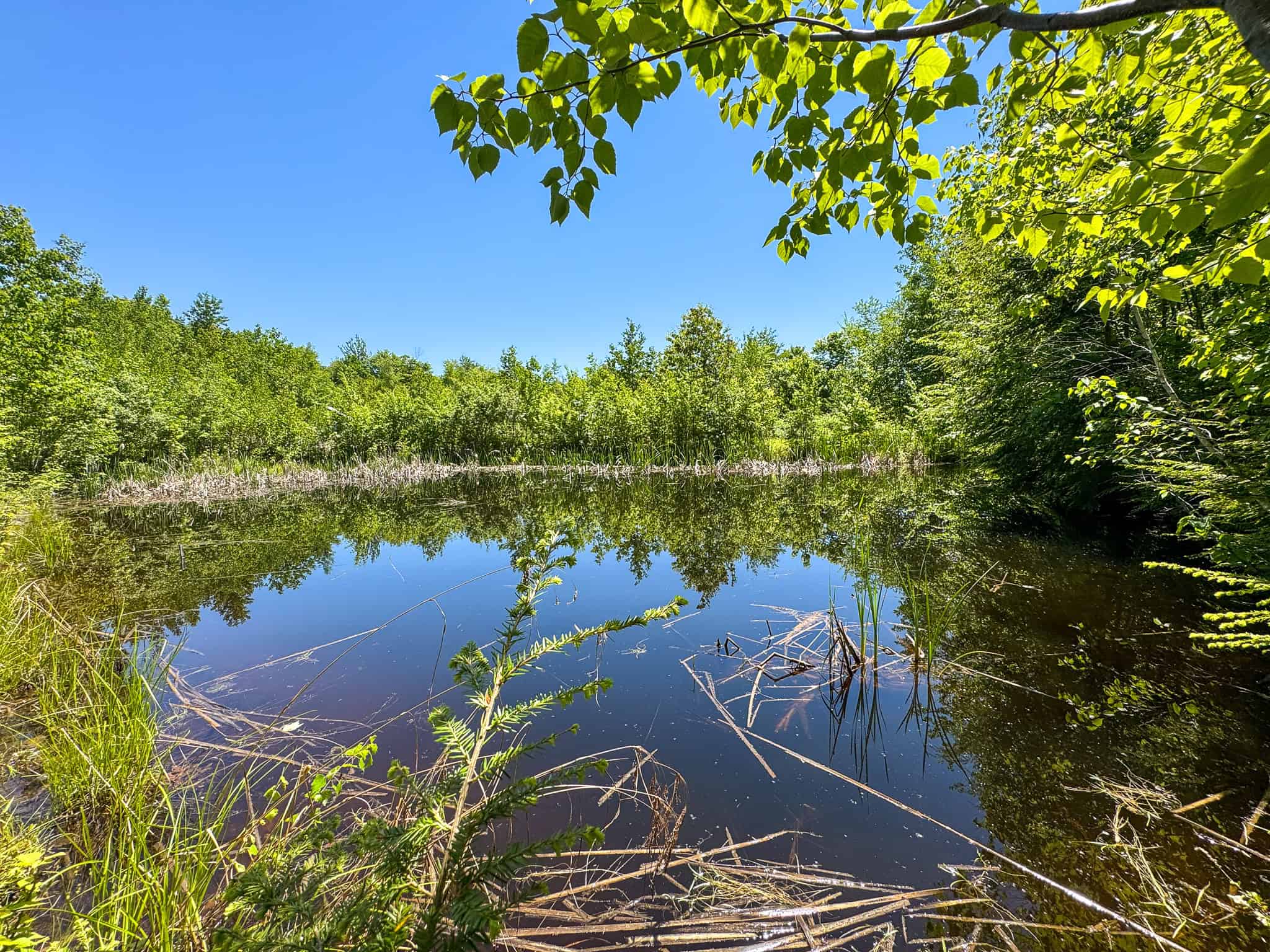 Unique Eco Friendly Home on 18.7 Acres – Waterford, Maine