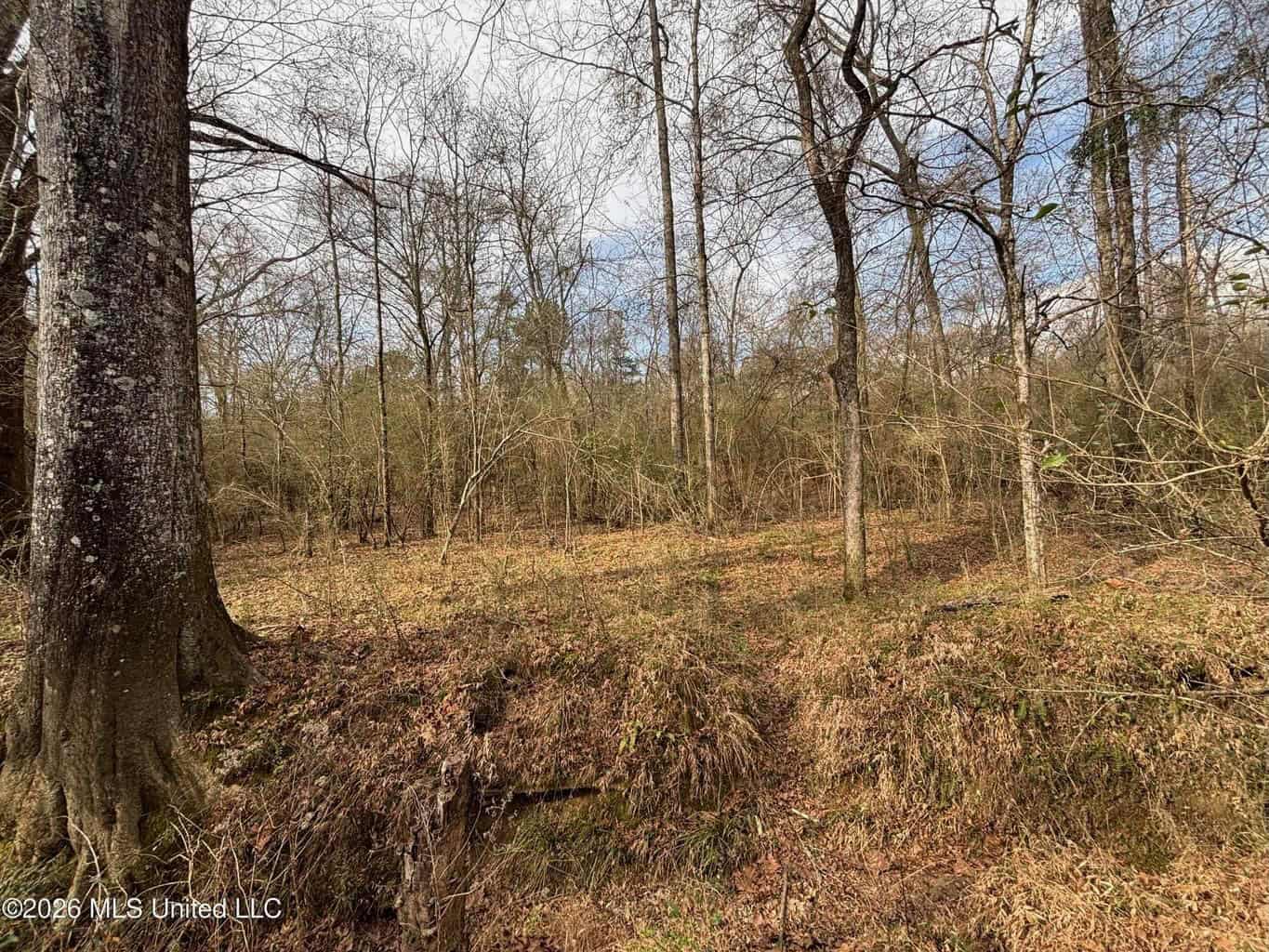 Hazlehurst MS Hunting Land for Sale