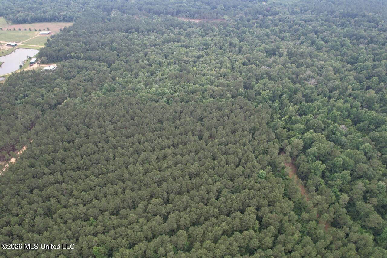 120± Acres for Sale in Osyka, MS on Tickfaw River