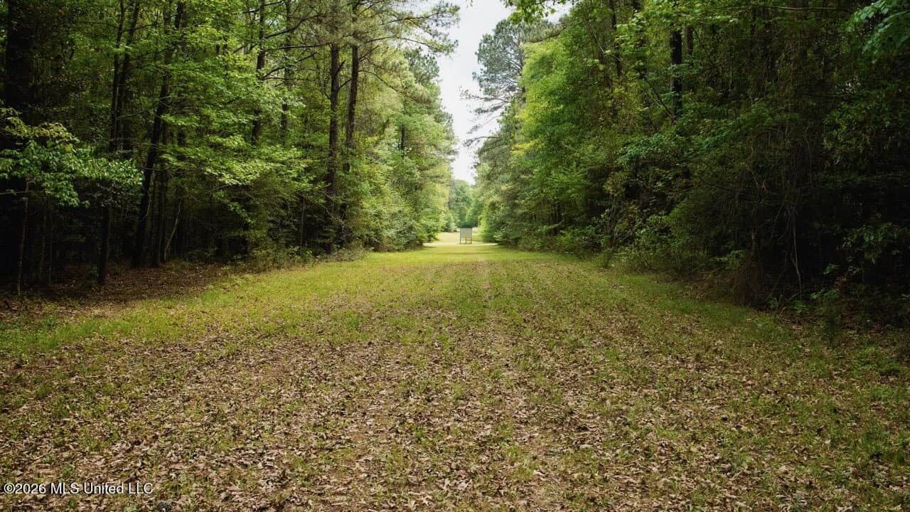 158± Acres with Custom Homes in Oakdale, Louisiana
