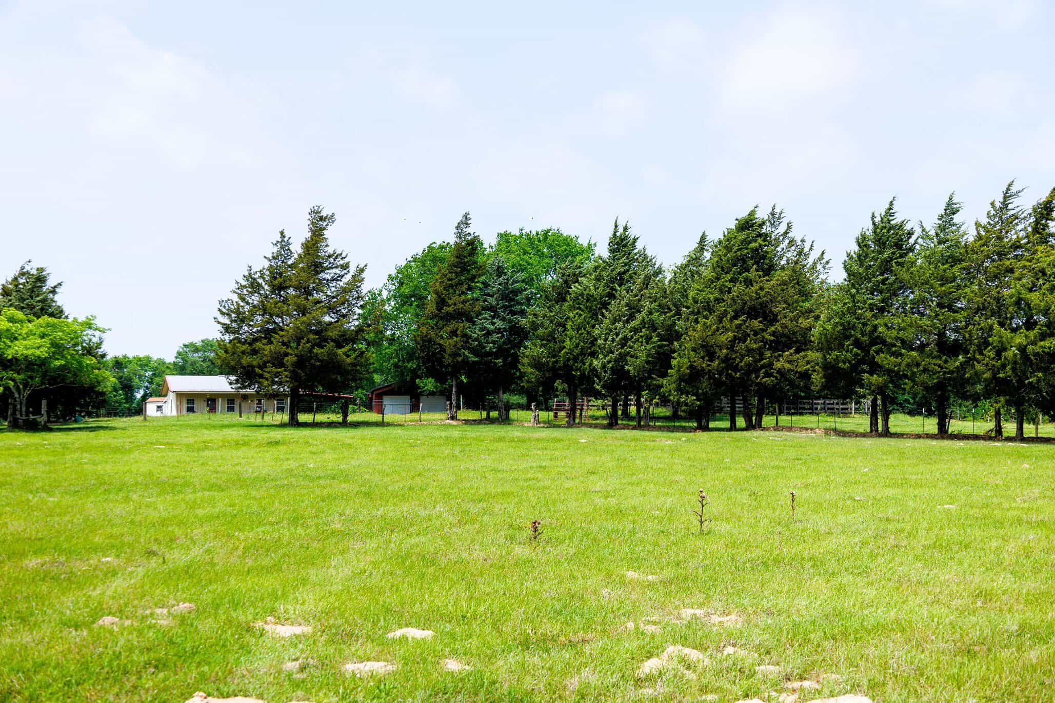 47.79-Acre Hunting Land with Cabin for Sale Ben Wheeler TX