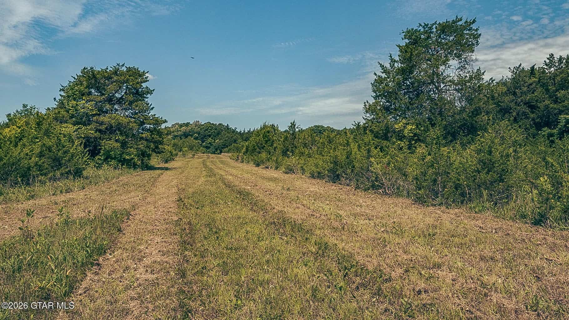 527 Acres Black Belt Prairie Clay County MS