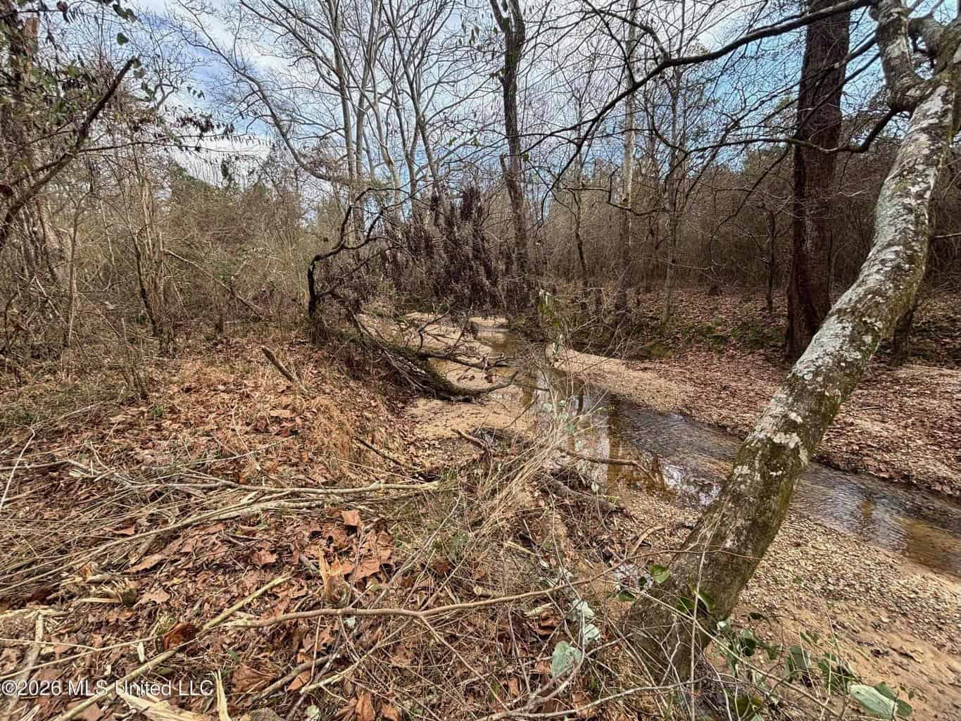 Hazlehurst MS Hunting Land for Sale