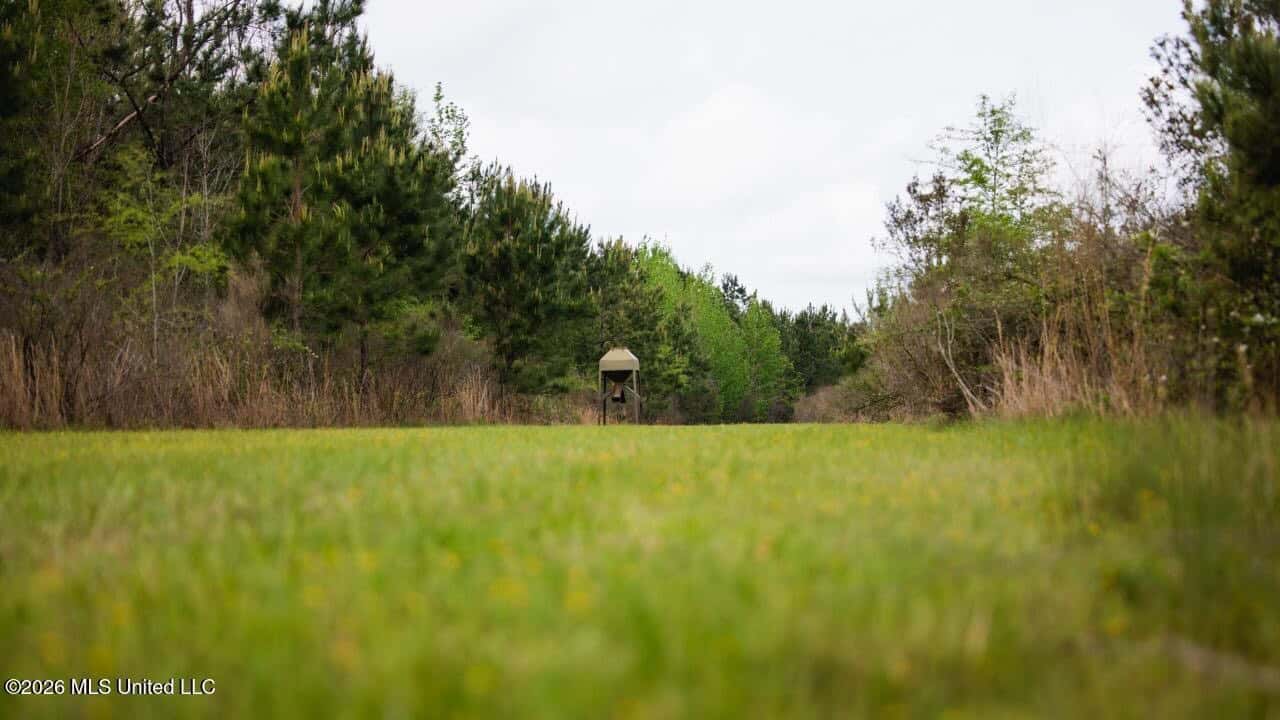 958± Acre High-Fence Ranch in Oakdale, Louisiana