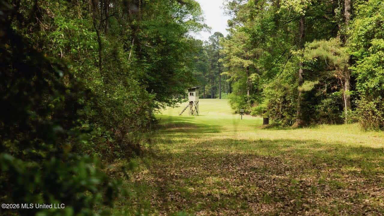 158± Acres with Custom Homes in Oakdale, Louisiana