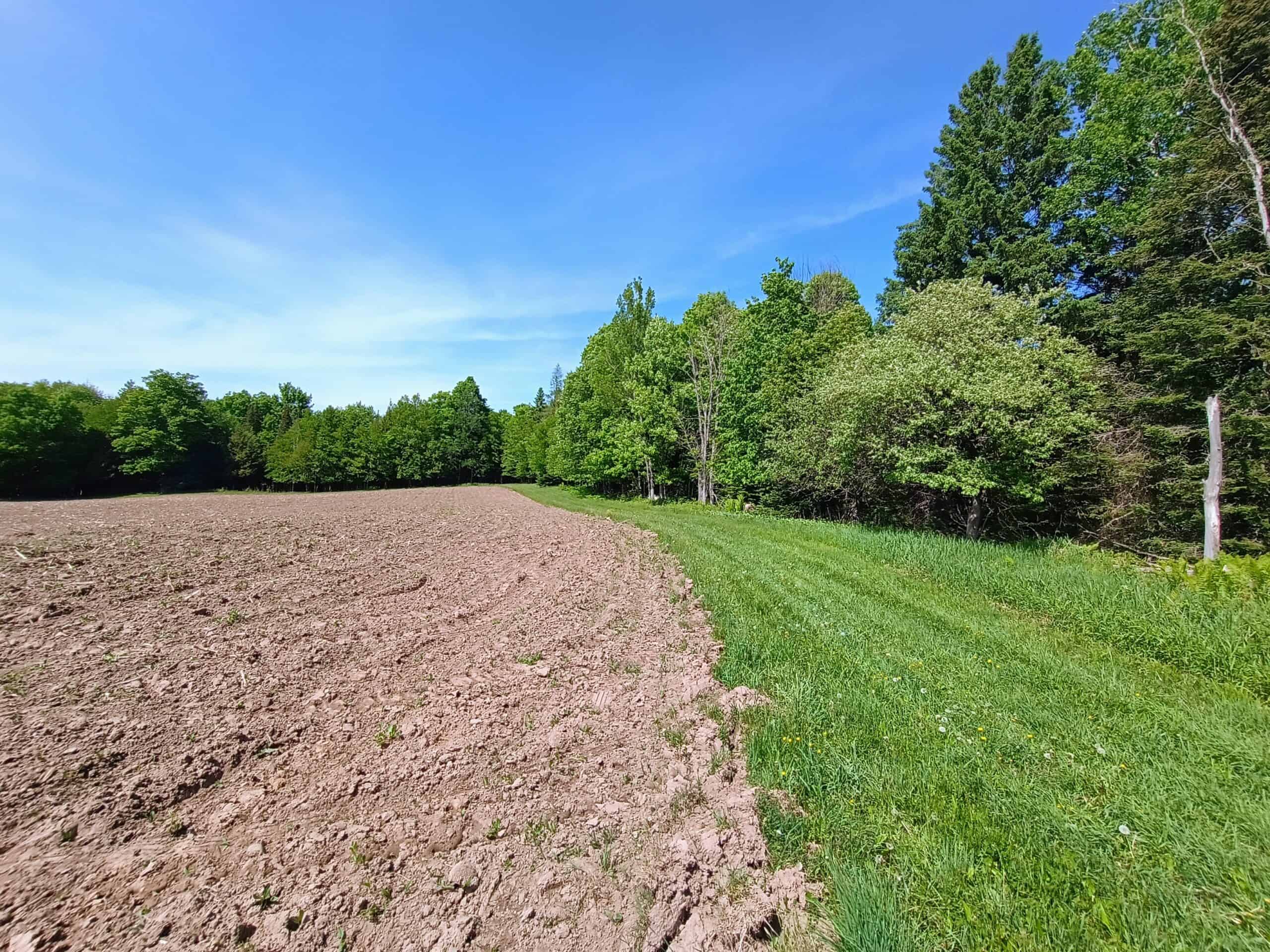 274 ± Acre Luxury Ranch & Hunting Estate | Butternut, WI
