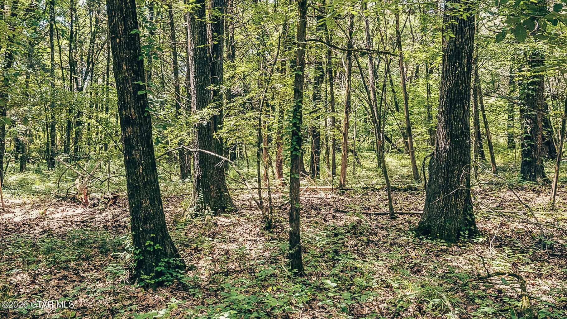527 Acres Black Belt Prairie Clay County MS