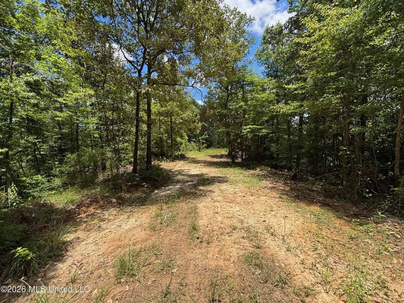 Wilkinson County MS Hunting Land for Sale