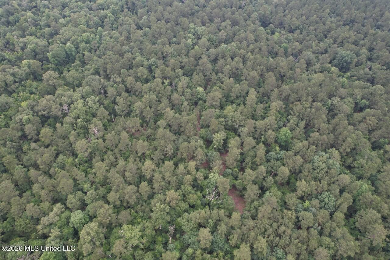 120± Acres for Sale in Osyka, MS on Tickfaw River