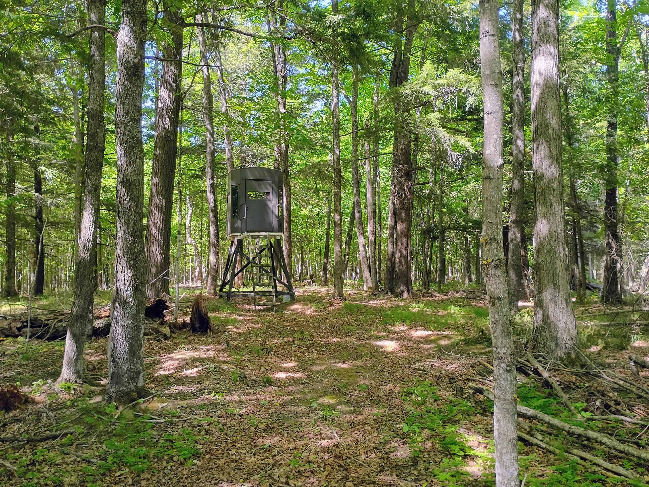 274 ± Acre Luxury Ranch & Hunting Estate | Butternut, WI
