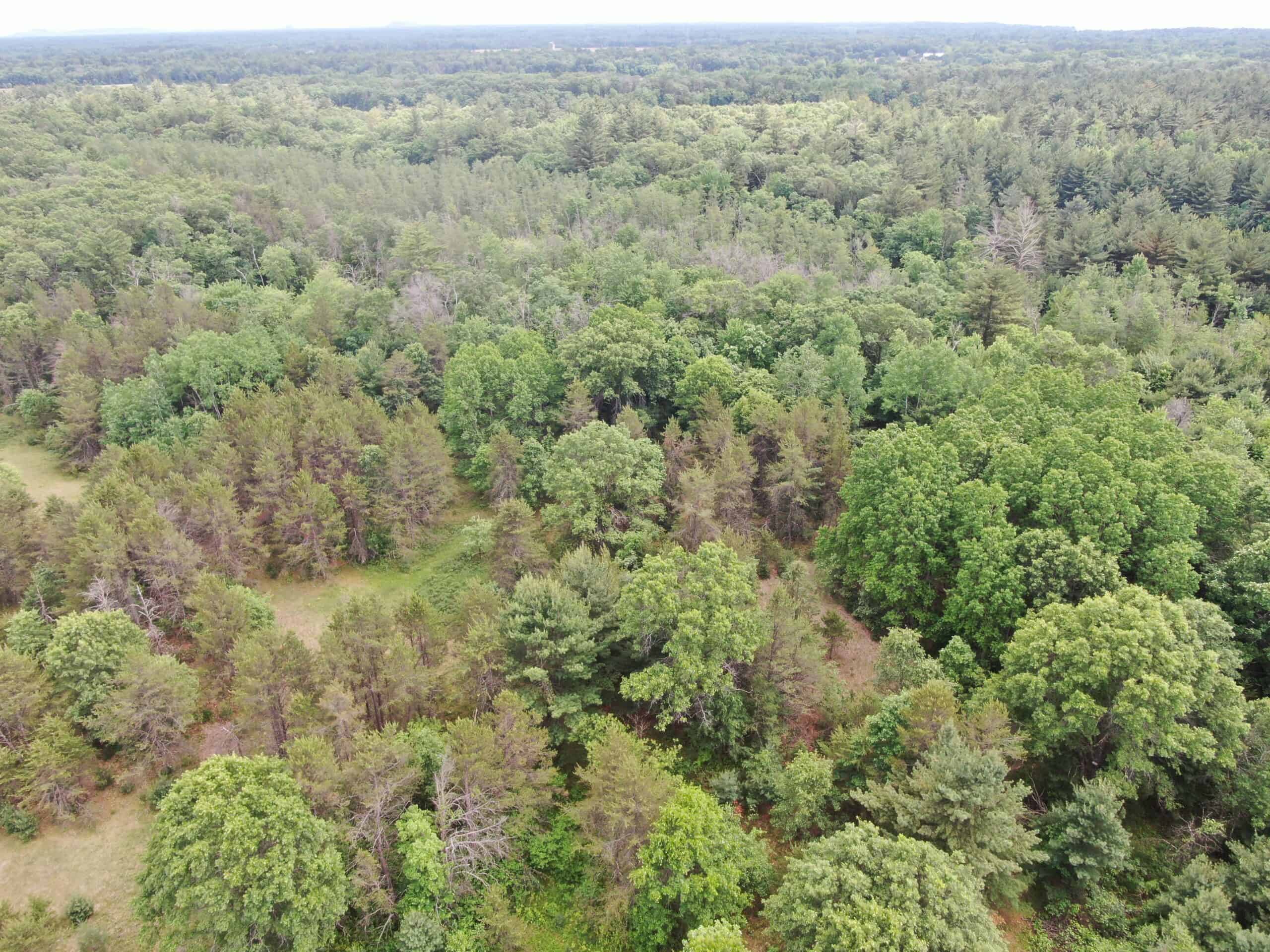 Forty acres in Adams County located in the Town of Strongs Prairie
