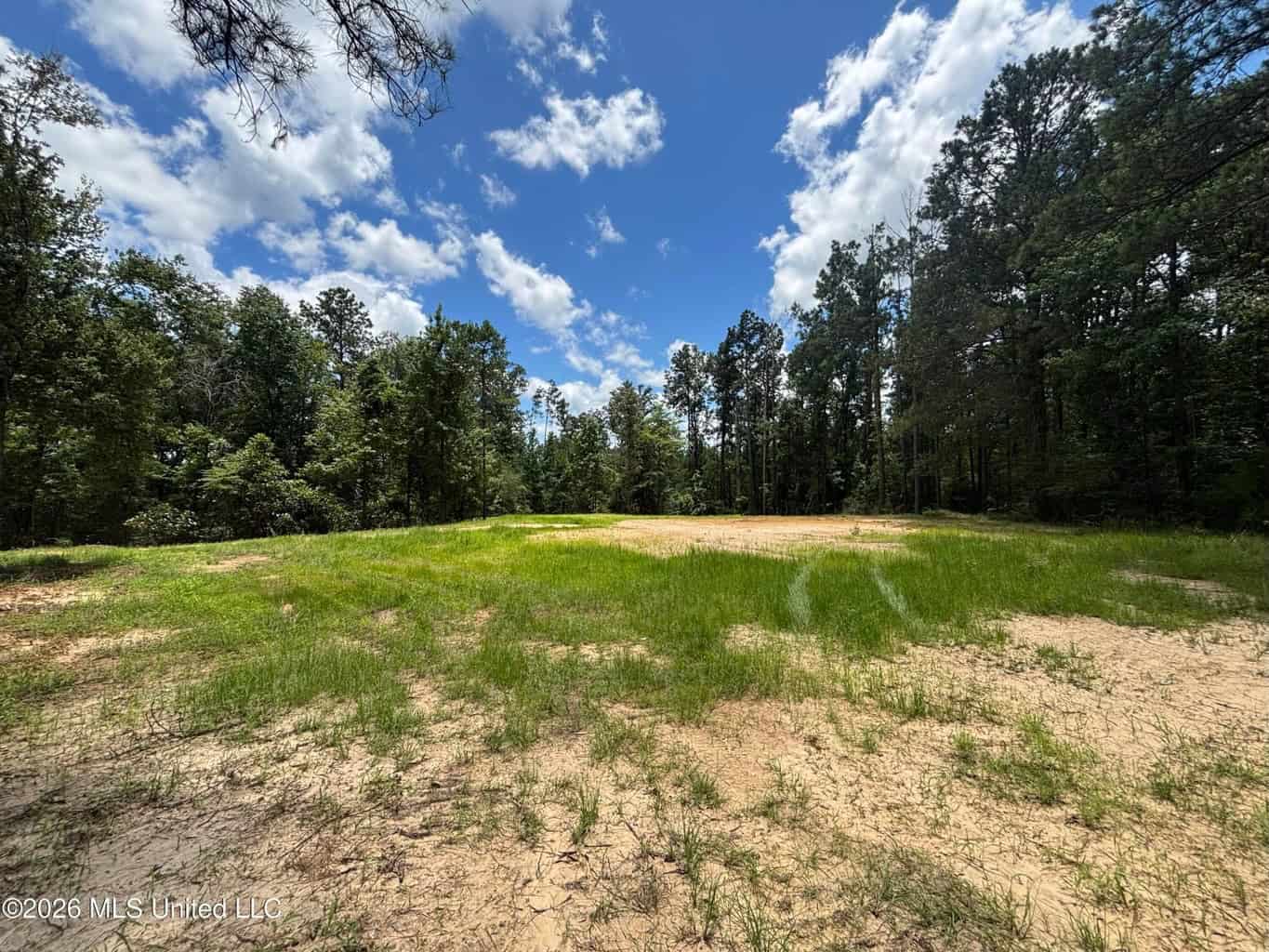 Wilkinson County MS Hunting Land for Sale