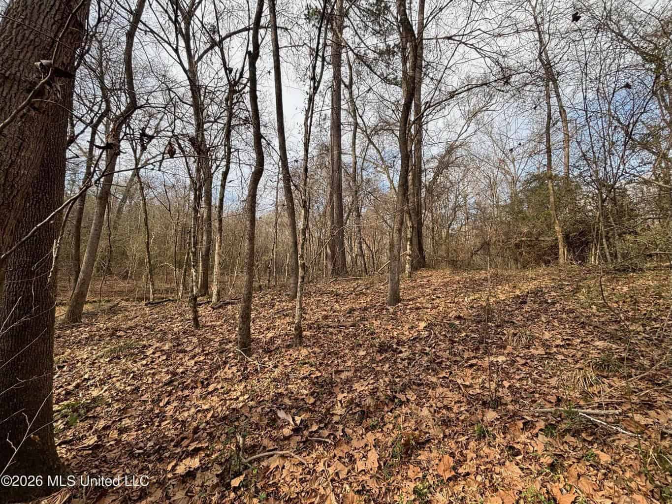 Hazlehurst MS Hunting Land for Sale