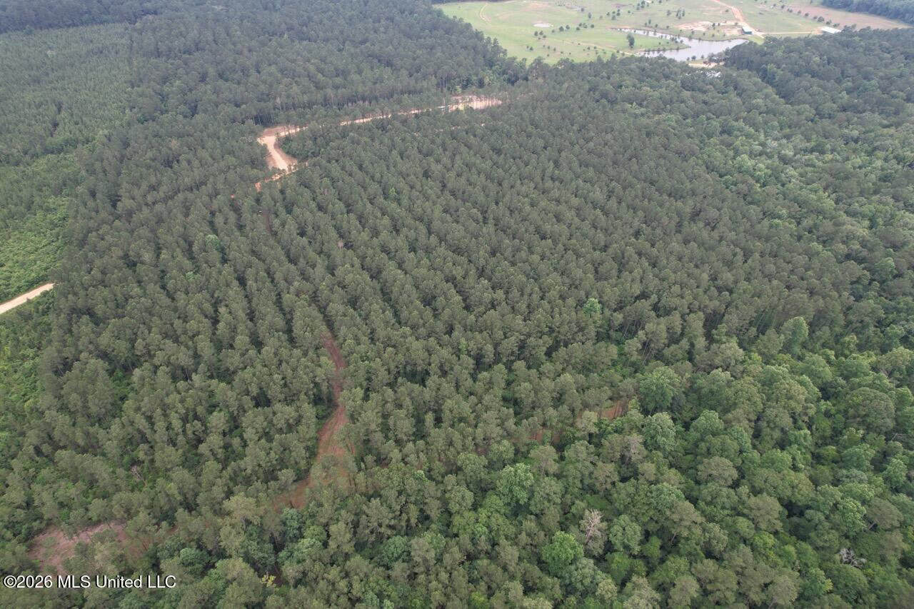 120± Acres for Sale in Osyka, MS on Tickfaw River