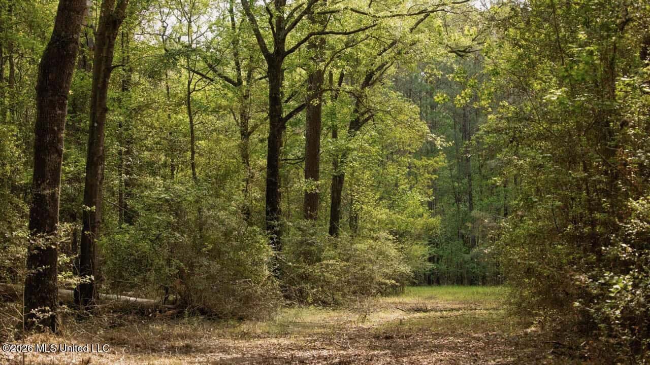 958± Acre High-Fence Ranch in Oakdale, Louisiana