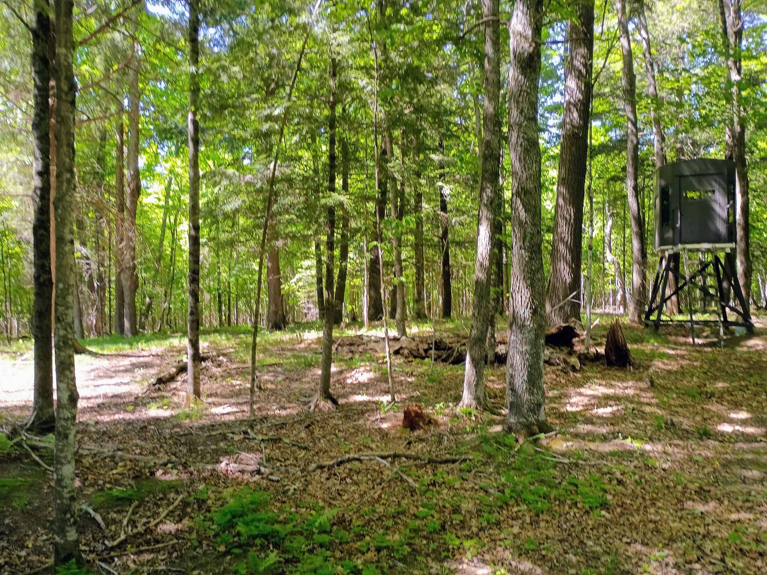 274 ± Acre Luxury Ranch & Hunting Estate | Butternut, WI