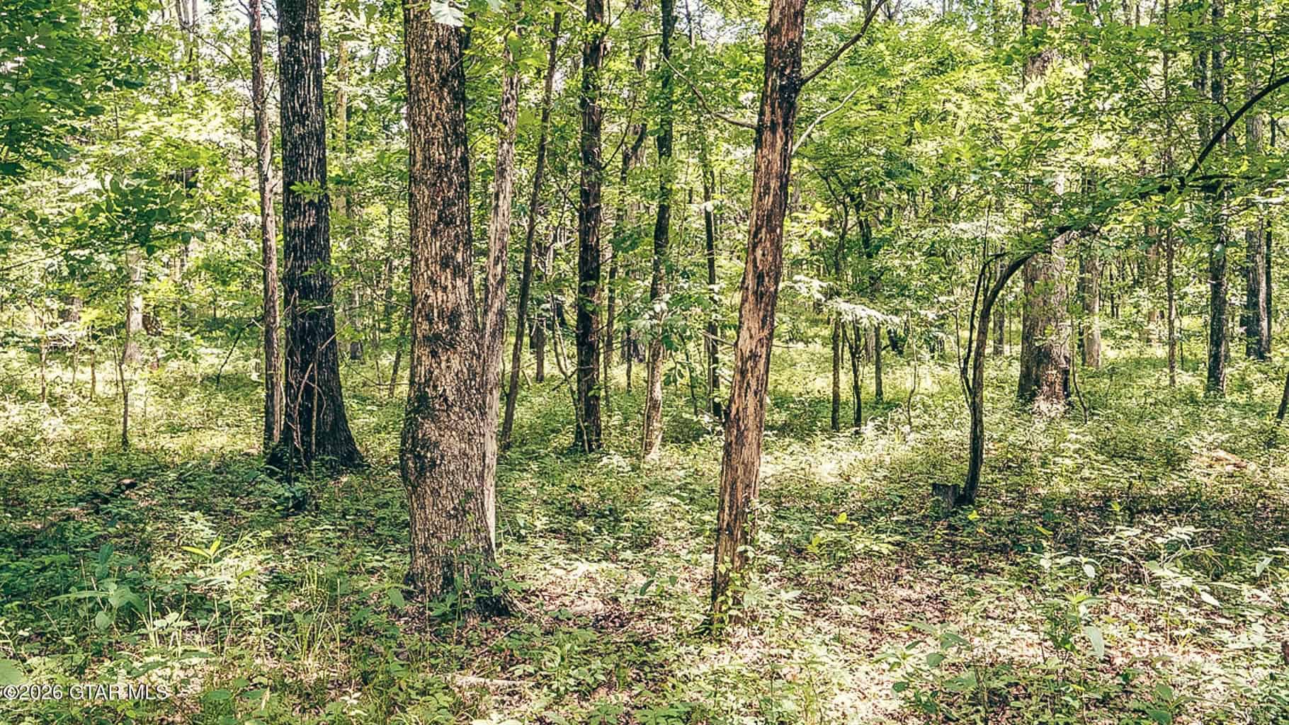 527 Acres Black Belt Prairie Clay County MS