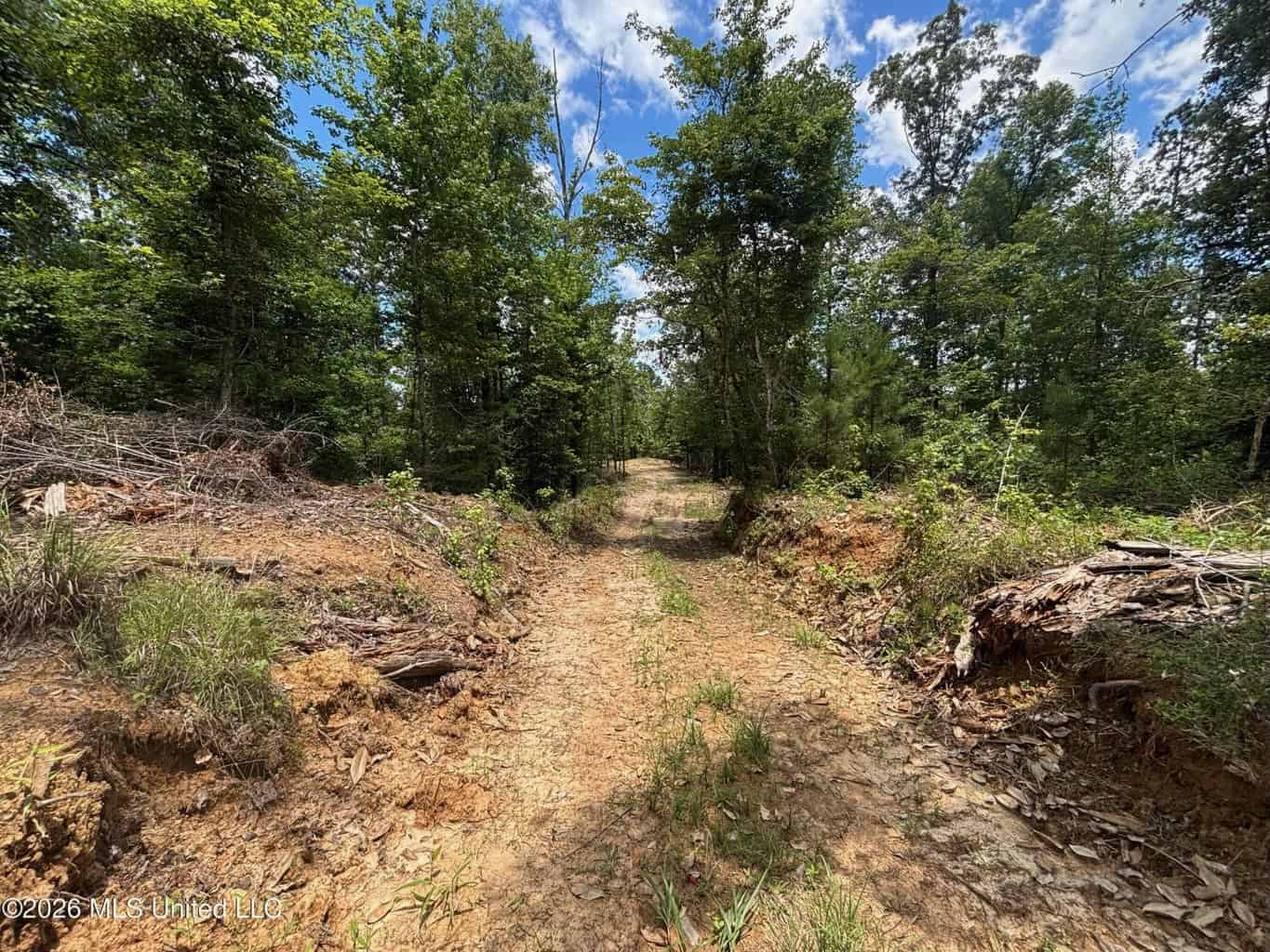 Wilkinson County MS Hunting Land for Sale