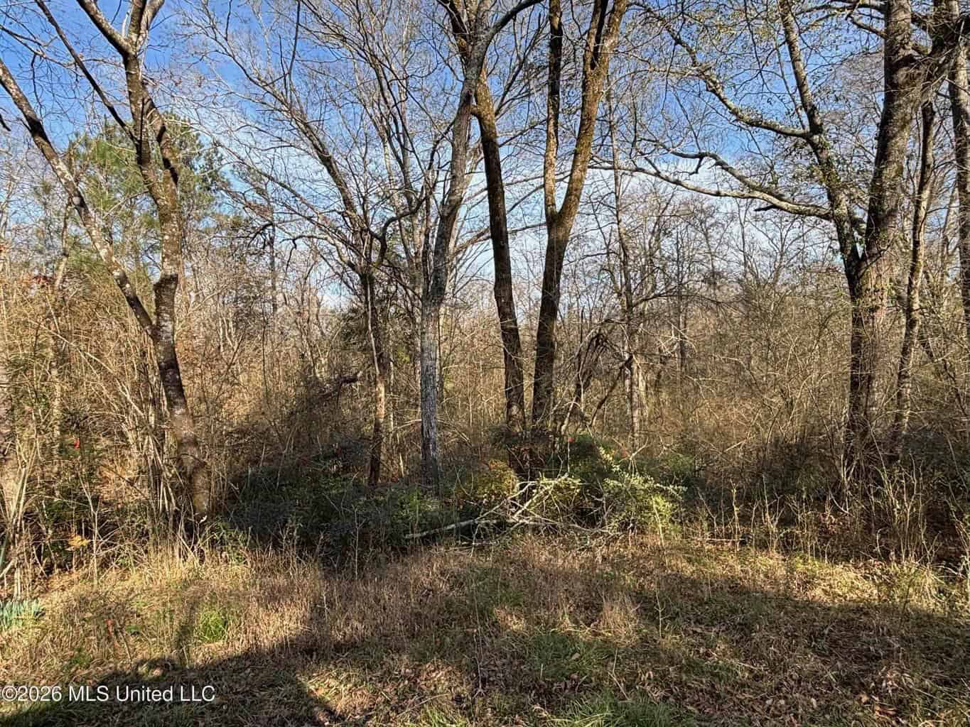 Hazlehurst MS Hunting Land for Sale
