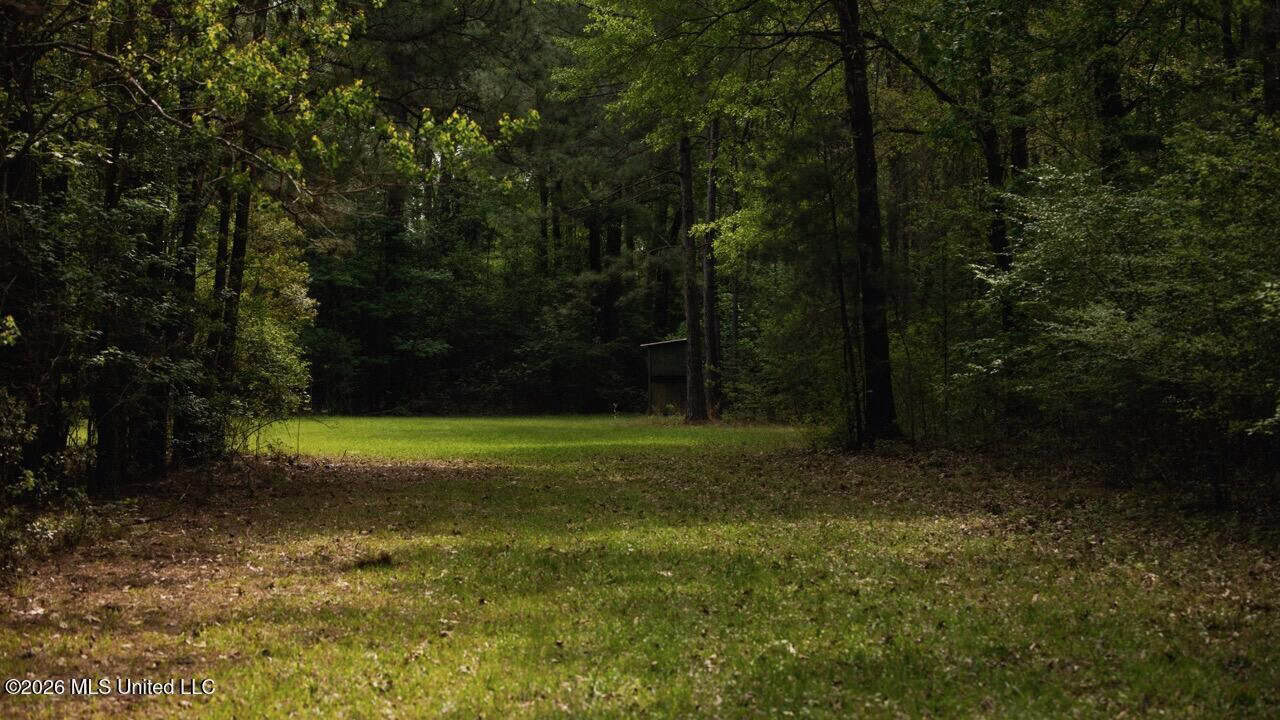 958± Acre High-Fence Ranch in Oakdale, Louisiana