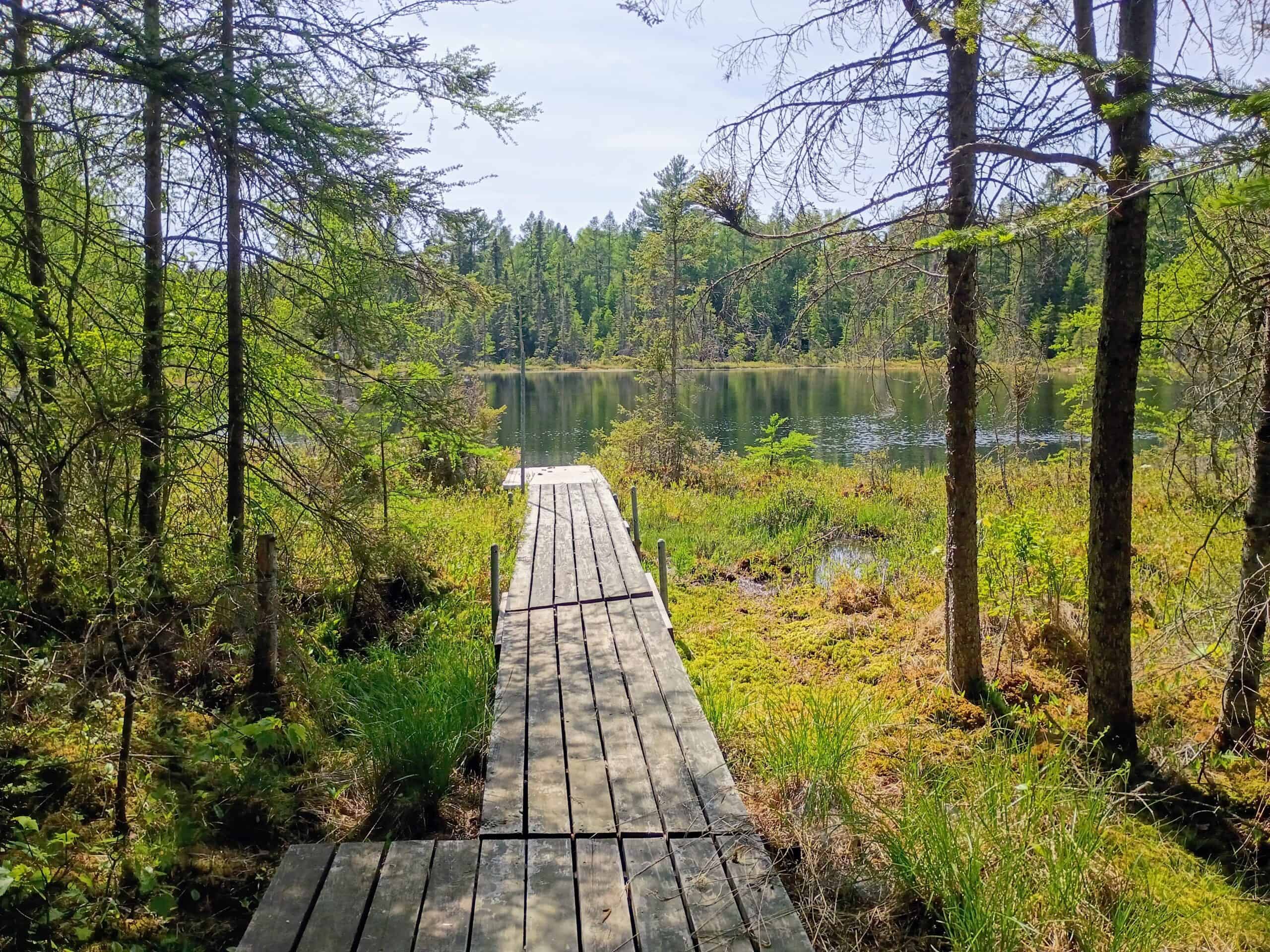 274 ± Acre Luxury Ranch & Hunting Estate | Butternut, WI
