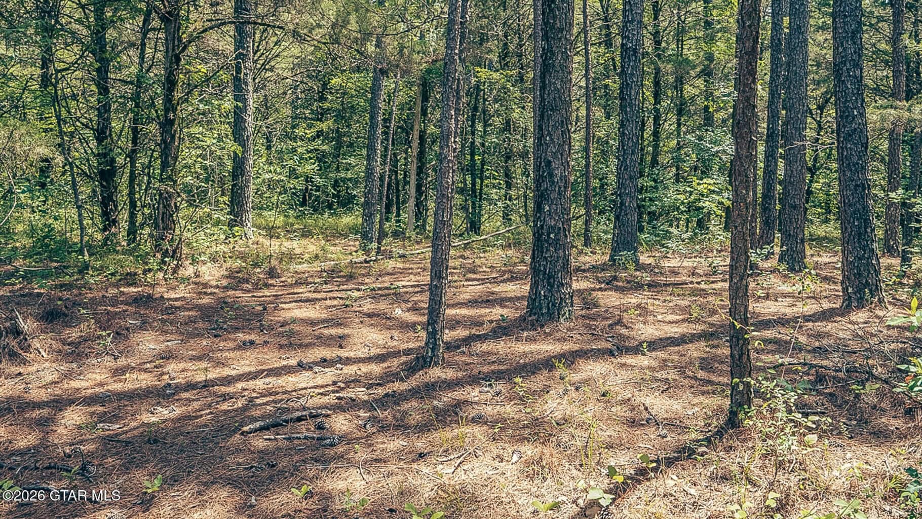 527 Acres Black Belt Prairie Clay County MS