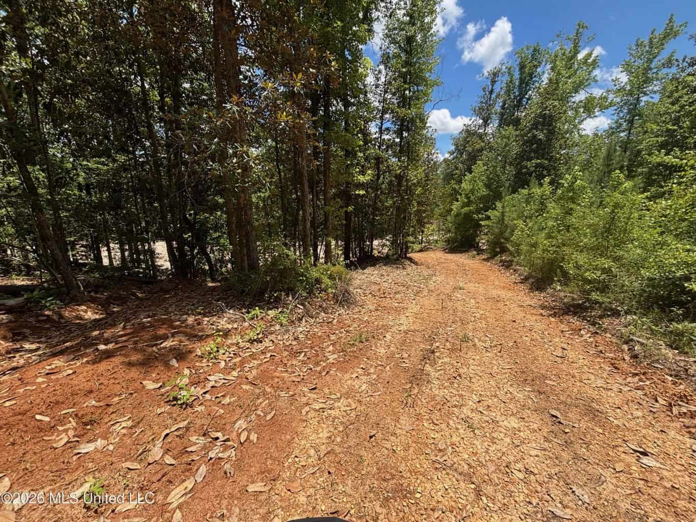 Wilkinson County MS Hunting Land for Sale