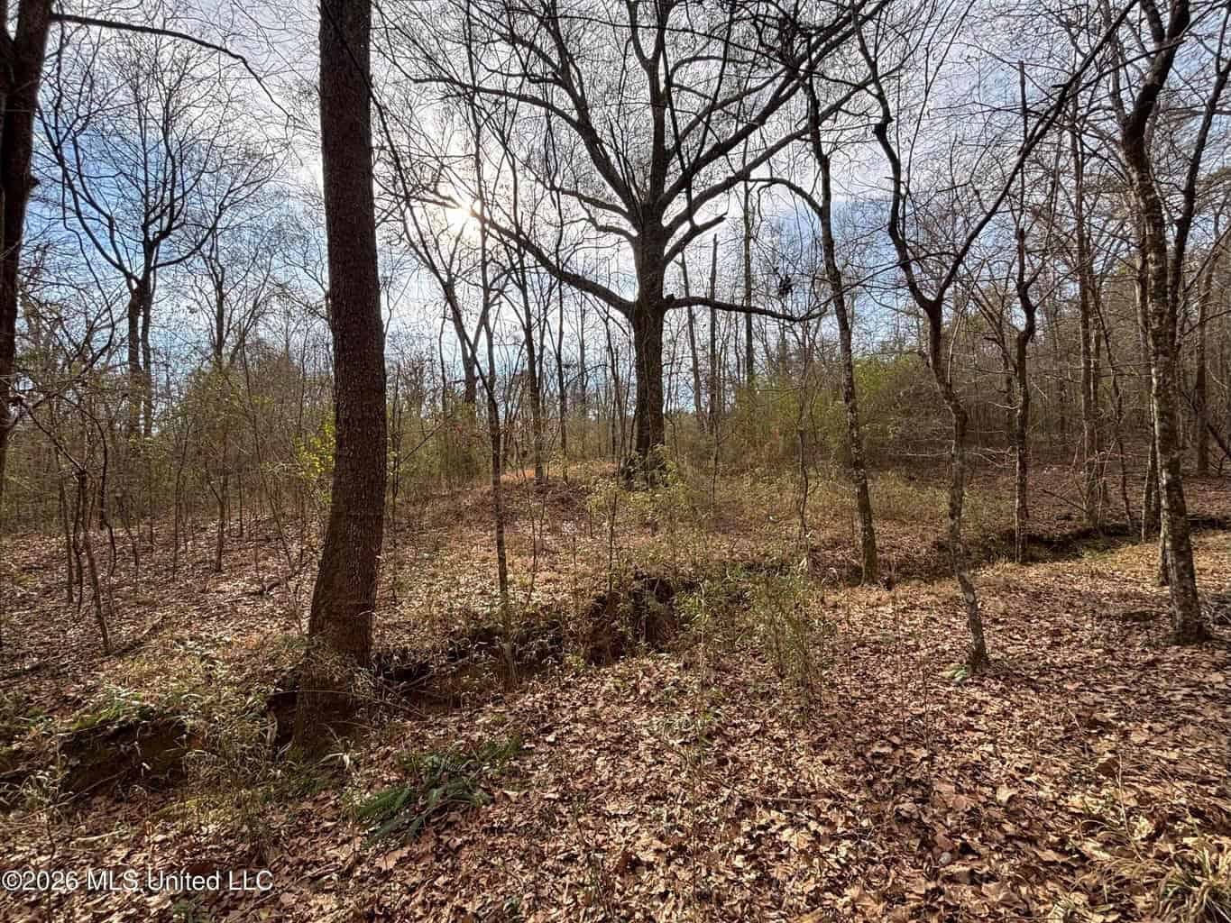 Hazlehurst MS Hunting Land for Sale