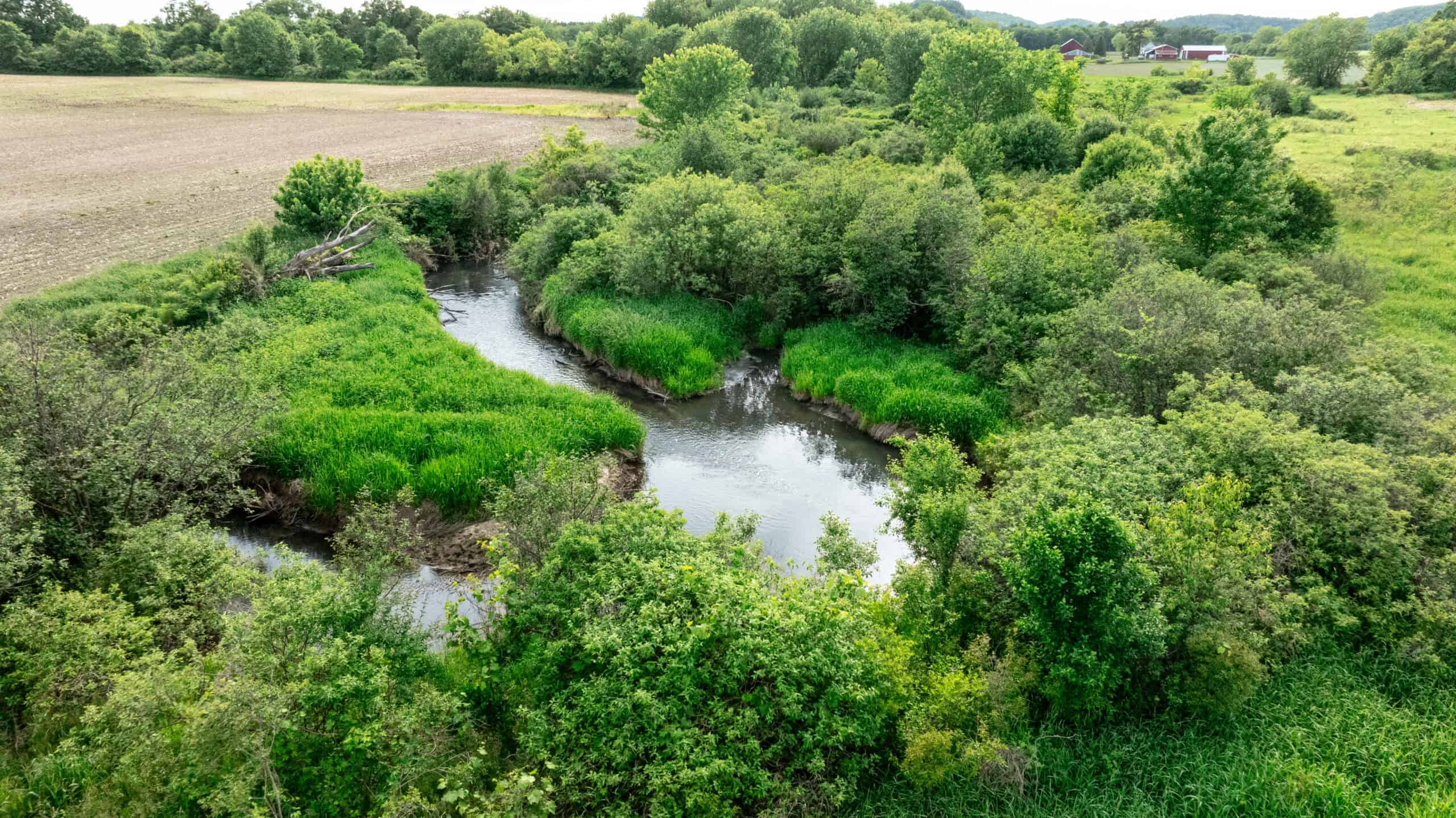Online Auction 125± Acres of Farmland, Recreation & Investment Property