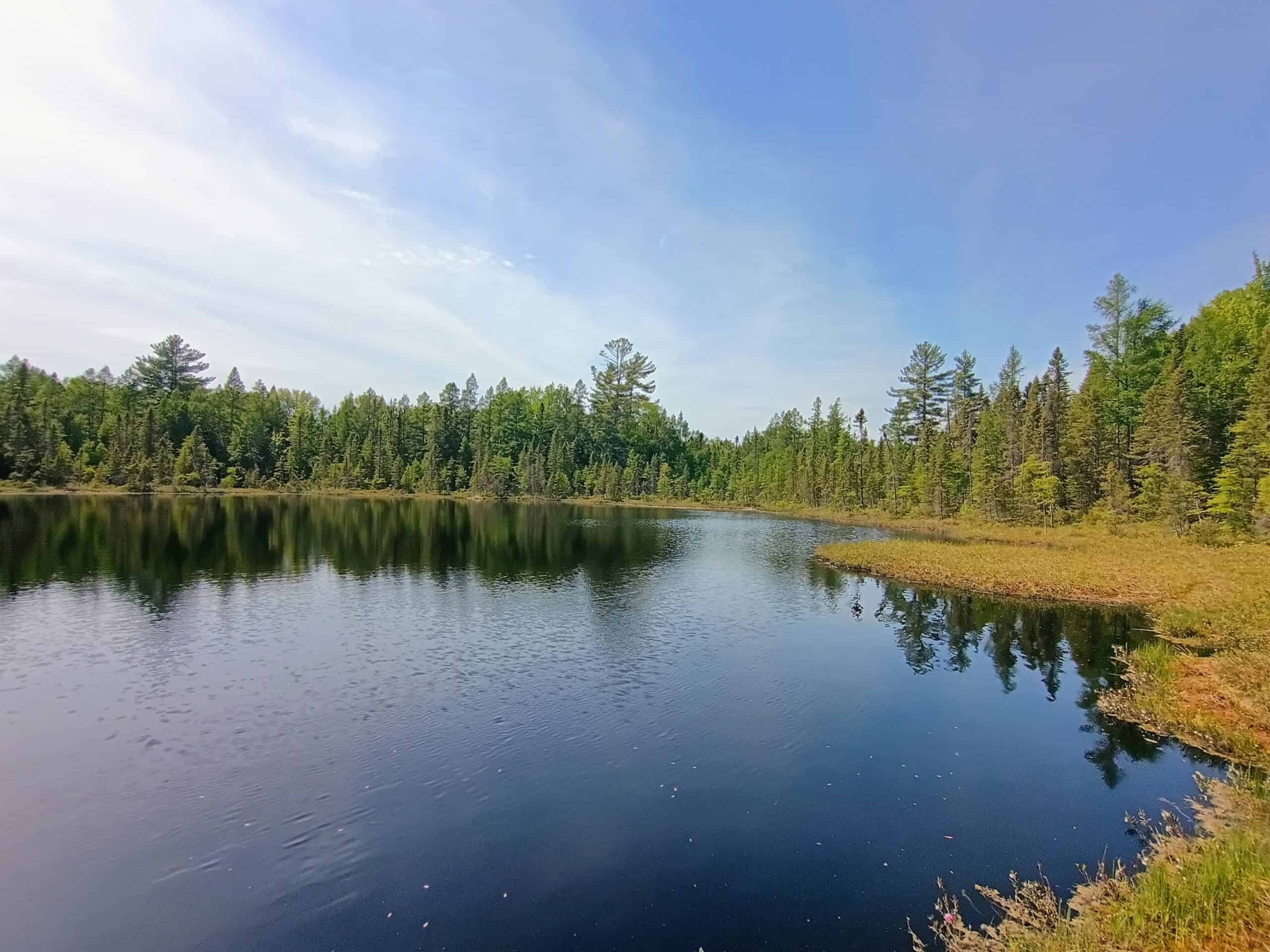 274 ± Acre Luxury Ranch & Hunting Estate | Butternut, WI