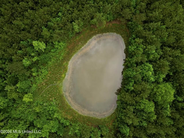 Land for Sale in Brookhaven, MS