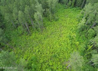 155 Acres Hunting Land for Sale in Centreville, MS