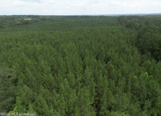 70+- Acres of Plantation Pines Pike County MS