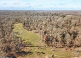 Jefferson County, MS Hunting Club Ownership Share