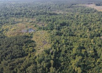 Chatham 72 – HARDWOOD TIMBER & HUNTING JACKSON PARISH LA