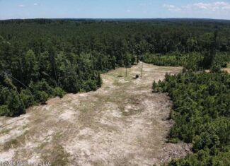 Wilkinson County MS Hunting Land for Sale