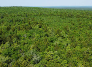 Large Land Parcel – 100 Acres in Maxfield, Maine