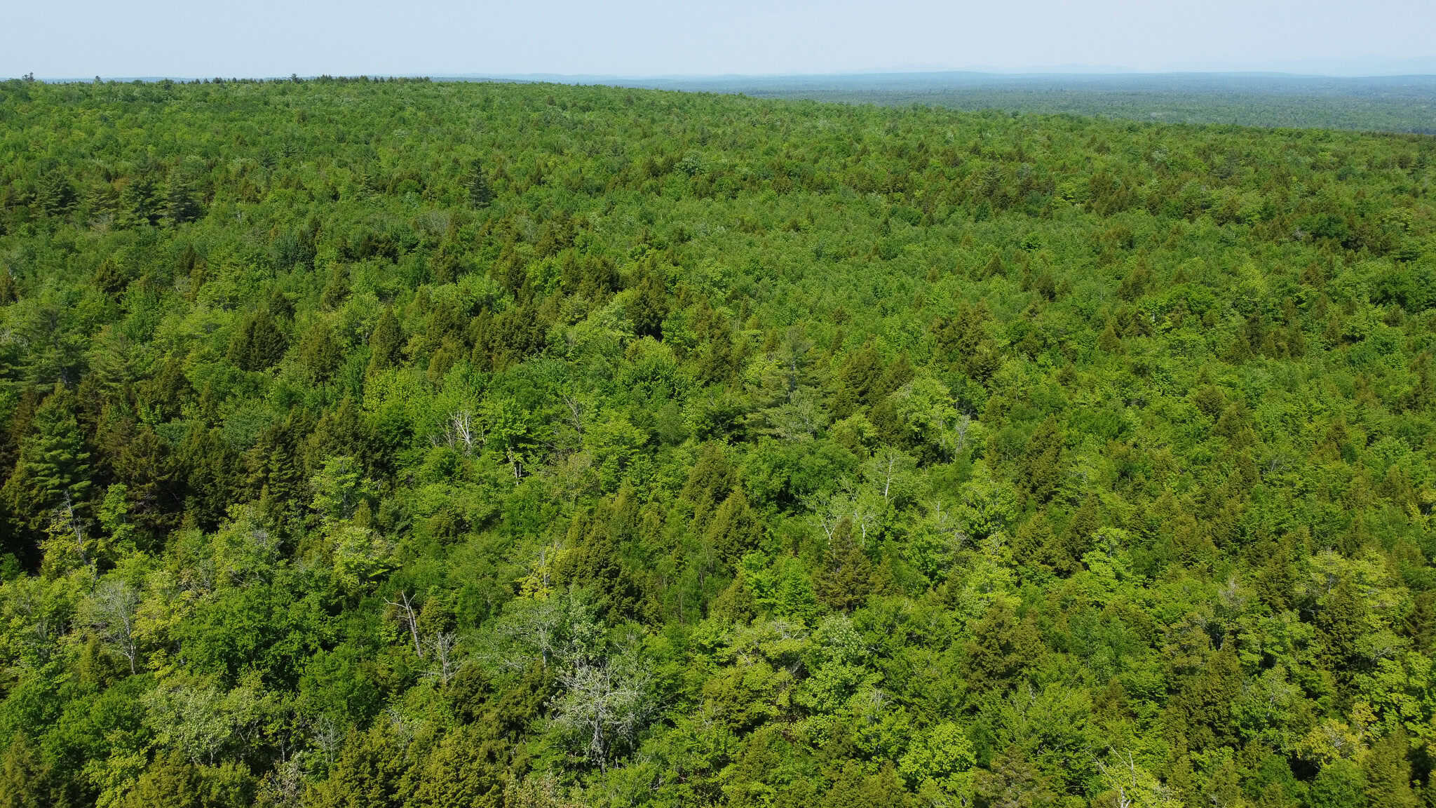 Large Land Parcel – 100 Acres in Maxfield, Maine
