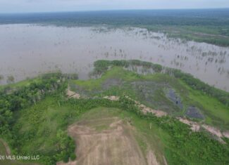88 Acre Hunting Property – Wilkinson County, MS