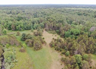 Forty acres in Adams County located in the Town of Strongs Prairie