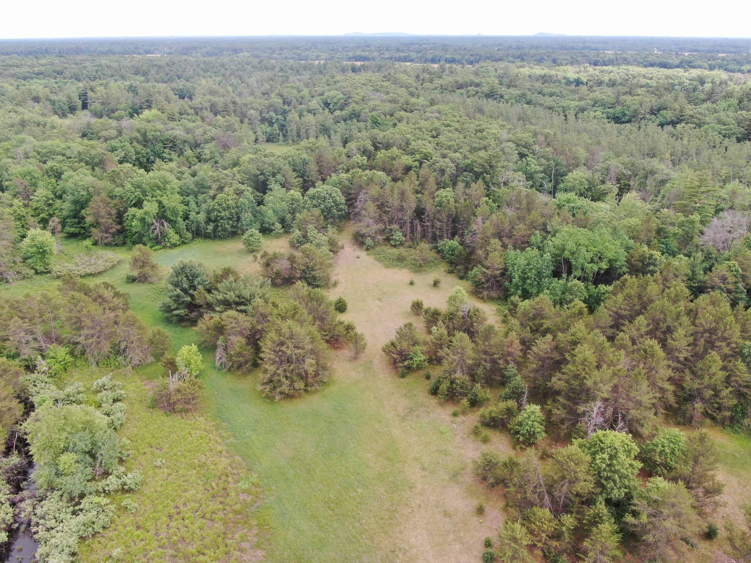 Forty acres in Adams County located in the Town of Strongs Prairie