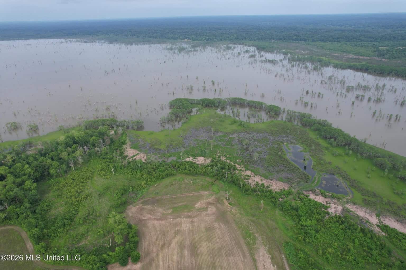 88 Acre Hunting Property – Wilkinson County, MS