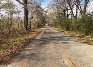 88.5 acres Hunting & Timber Land for Sale in Utica, Ms