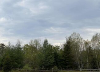 29.9 Acres Downeast – Cooper, Maine