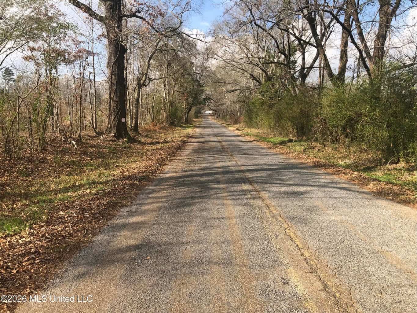 88.5 acres Hunting & Timber Land for Sale in Utica, Ms