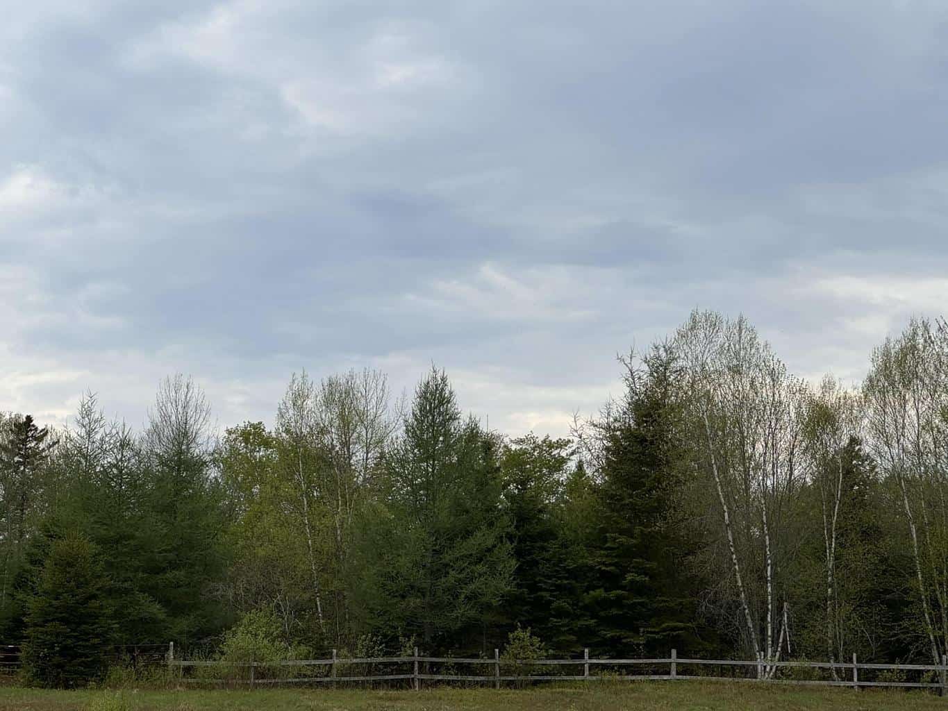 29.9 Acres Downeast – Cooper, Maine